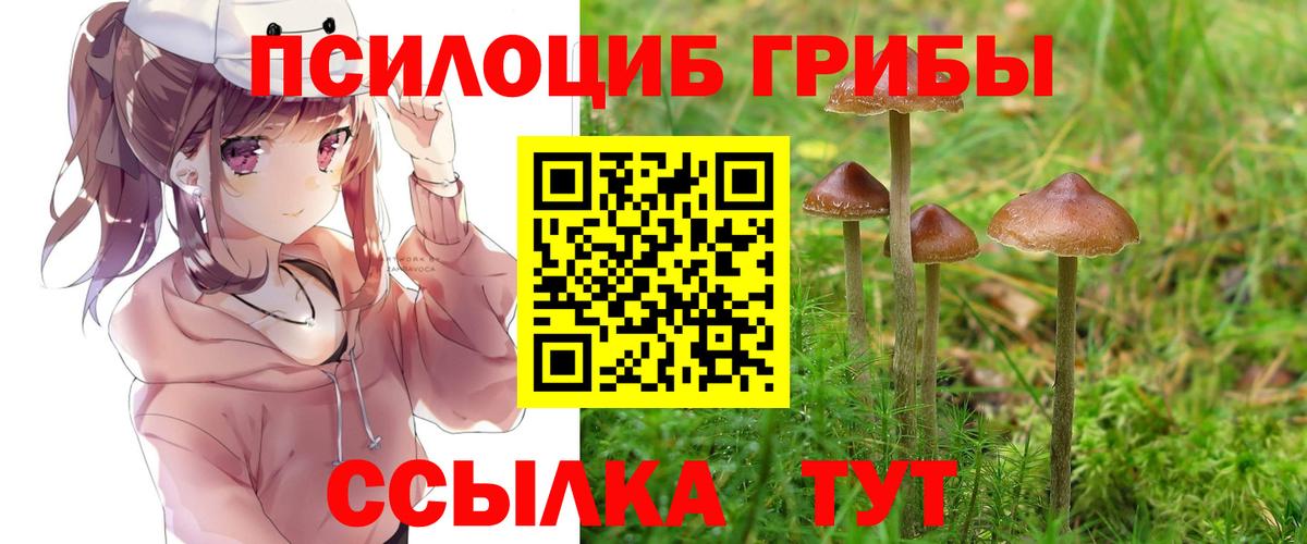 цены   Вход с VPN  Саянск  Галлюциногенные грибы Psilocybine cubensis 
